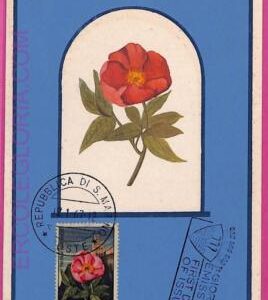 ag3477 - SAN MARINO - POSTAL HISTORY - Maximum Card - 1967 - Flowers