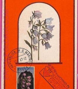 ag3476 - SAN MARINO - POSTAL HISTORY - Maximum Card - 1967 - Flowers
