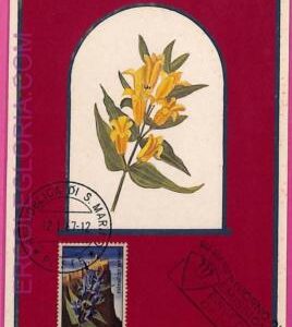 ag3475 - SAN MARINO - POSTAL HISTORY - Maximum Card - 1967 - Flowers