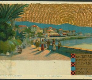 Lib987 - CARTOLINA d'Epoca - PUBBLICITARIA Illustrata - CHIATTONE  Olio SASSO
