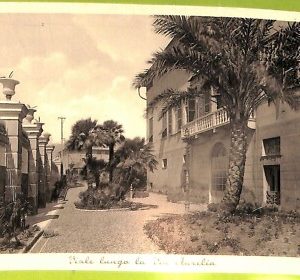 aa9330- CARTOLINA D'EPOCA  GENOVA Città : Viale lunga la Via Aurelia