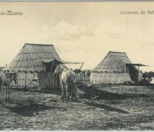 80180 - MOROCCO  - VINTAGE POSTCARD -   Tanger