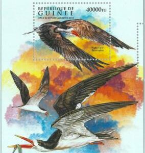 A0620 - GUINEA, ERROR, MISPERF, Souvenir sheet: 2015 African skimmers, Birds