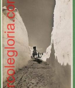 ah0760 - SWITZERLAND - VINTAGE POSTCARD - St.Gottardo - 1939