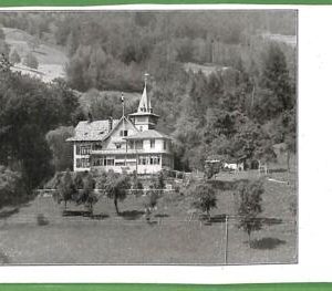 ah0774 - SWITZERLAND - VINTAGE POSTCARD - Unterageri - 1928