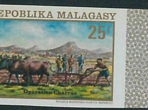 57865a - MADAGASCAR - single stamp - IMPERF!  Gastronomy AGRICULTURE