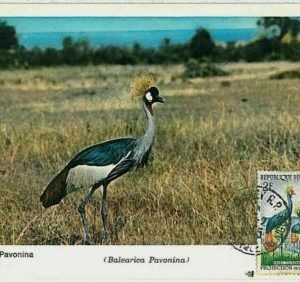 32898 - NIGER - POSTGESCHICHTE - MAXIMUM KARTE 1965 - Vögel