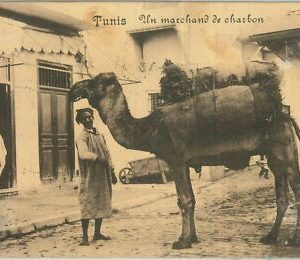 80302 - TUNISIA - VINTAGE POSTCARD - TUNIS Ethnic 1915