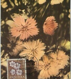 63359 - SPANISH ANDORRA - POSTAL HISTORY: MAXIMUM CARD - FLOWERS 1966