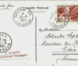 29233 - MADAGASCAR - POSTAL HISTORY - POSTCARD to CAMEROUN 1954 BIRDS