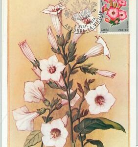 63375 - FRENCH ANDORRA - POSTAL HISTORY: MAXIMUM CARD - FLOWERS 1974
