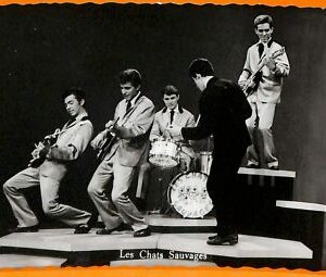 AA8513- VINTAGE POSTCARD - CINEMA ACTORI: WILD CATS