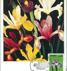 63374 - FRENCH ANDORRA - POSTAL HISTORY: MAXIMUM CARD - FLOWERS 1974