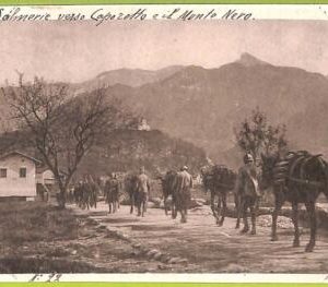 ae8255 - Ansichtskarten  VINTAGE  POSTCARD - SLOVENIA - Caporetto