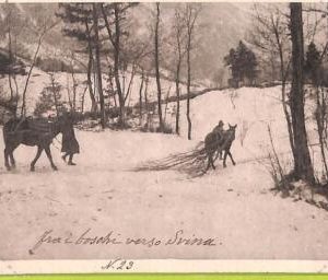 ae8254 - Ansichtskarten  VINTAGE  POSTCARD - SLOVENIA - Caporetto