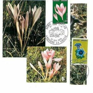 10890 - French ANDORRA - Postal History - Set of 2 MAXIMUM CARDS 1975 FLOWERS