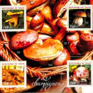 A8458 - NIGER - ERROR MISPERF  Stamp Sheet - 2014 Plants MUSHROOMS