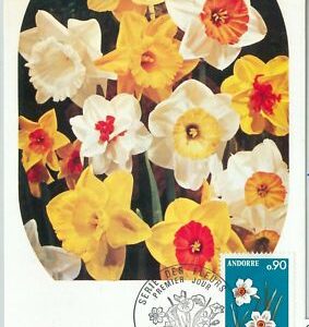 63376 - FRENCH ANDORRA - POSTAL HISTORY: MAXIMUM CARD - FLOWERS 1974