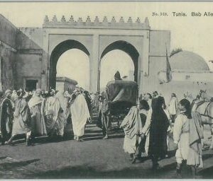 80312 - TUNISIA - VINTAGE POSTCARD - TUNIS