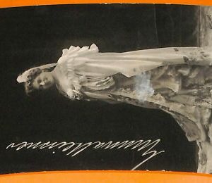 AA8412- VINTAGE POSTCARD - CINEMA ACTRESS: DEN GLADA ANKAN