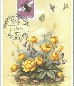 68916 - SWITZERLAND - MAXIMUM CARDS 1951 - PRO JUVENTUTE Butterflies