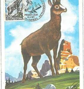 26296 - FRANCE  - POSTAL HISTORY - MAXIMUM CARD 1971 - ANIMALS  FAUNA