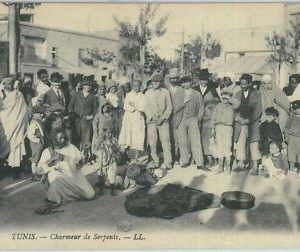 80310 - TUNESIEN - VINTAGE POSTKARTE - TUNIS