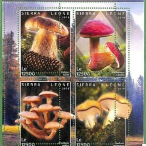 A2562 - SIERRA LEONE - ERROR: MISPERF, Kleinbogen - 2019, Pilze