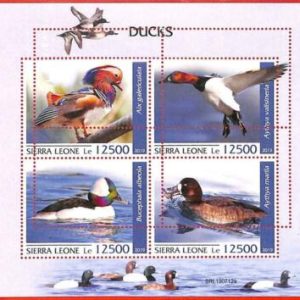 A4535 - SIERRA LEONE - ERROR MIPERF, Kleinbogen: 2019, Enten, Vögel