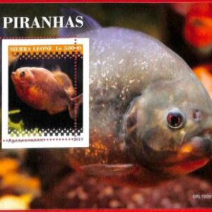 A4524 - SIERRA LEONE - ERROR MIPERF, Sonderblock: 2019, Piranhas, Fisch