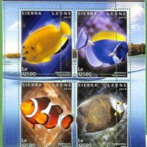 A2557 - SIERRA LEONE - ERROR: MISPERF, Kleinbogen - 2019, Fische,...