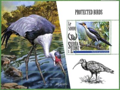 A2567 - SIERRA LEONA - ERROR: MISPERF, Hoja de recuerdo - 2019, Aves protegidas