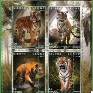 A2561 - SIERRA LEONE - FEHLER: MISPERF, Kleinbogen - 2019, Tiger