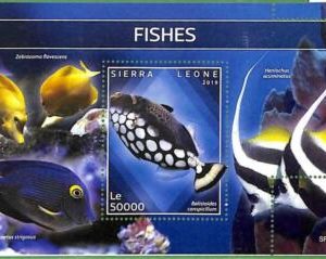 A2568 - SIERRA LEONE - FEHLER: MISPERF, Sonderblock - 2019, Fische,...