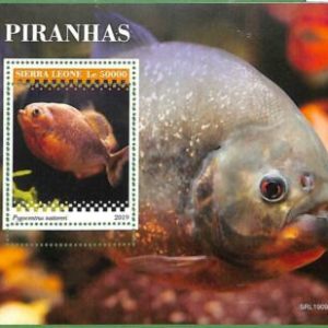 A2592 - SIERRA LEONE - ERROR: MISPERF Hoja de recuerdo - 2019 Piraña, vida...