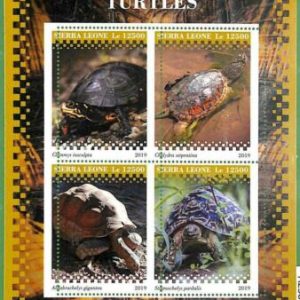 A2588 - SIERRA LEONE - ERROR: MISPERF Miniatura hoja -2019 Tortugas, Vida Marina