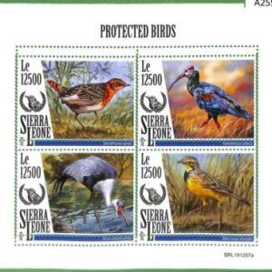 A2553 - SIERRA LEONA - ERROR: MISPERF, Miniatura hoja - 2019, Aves Protegidas