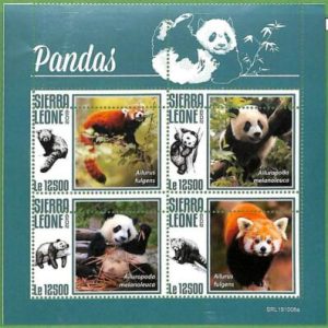 A2584 - SIERRA LEONE - ERROR: MISPERF Hoja miniatura - 2019, Osos Panda