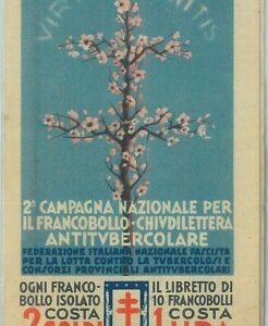 87054  - VIGNETTE  D'EPOCA -  Libretto bolli ANTI TUBERCOLOSI  PNF   1930'S