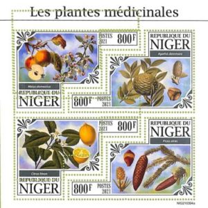A8439 - NIGER - ERROR MISPERF Stamp Sheet - 2021 Medicinal plants