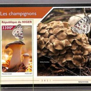 A8455 - NIGER - ERROR MISPERF  Stamp Sheet - 2021 Plants MUSHROOMS