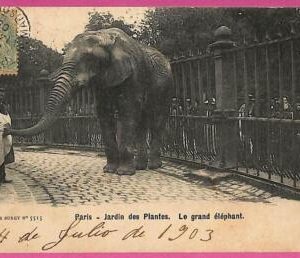 ag4429  - FRANCE - VINTAGE POSTCARD  - Paris