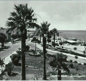 98040  - CARTOLINA d'Epoca -  BARI provincia   -  TORRE A MARE  1956