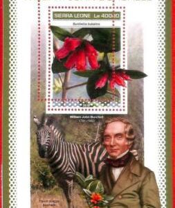 A4578 - SIERRA LEONE - ERRORE MISPERF: 2018, William J. Burchell, Fiori, Zebre