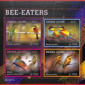 A4620 - SIERRA LEONE - ERROR MIPERF, Kleinbogen: 2019, Bienenfresser, Vögel