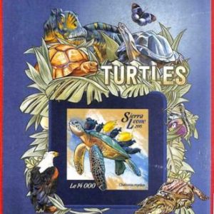 A4650 - SIERRA LEONE - ERROR IMPERF: 2015 Tortugas, Mariposas, Cocodrilos, Peces