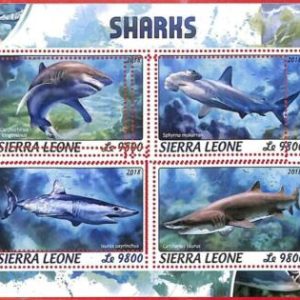 A4668 - SIERRA LEONE - ERROR MISPERF, Miniatura hoja: 2018, Tiburones, Vida...