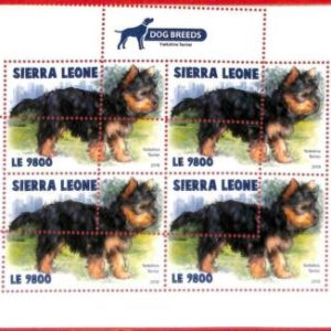 A4679 -SIERRA LEONE -ERROR MIPERF, Kleinbogen: 2018 Yorkshire Terrier Hunde