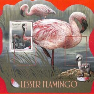 A4700 - SIERRA LEONE - ERROR MIPERF, Sonderblock: 2017, Flamingos, Vögel