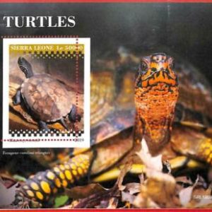 A4523 - SIERRA LEONE - ERROR MIPERF, Sonderblock: 2019, Schildkröten